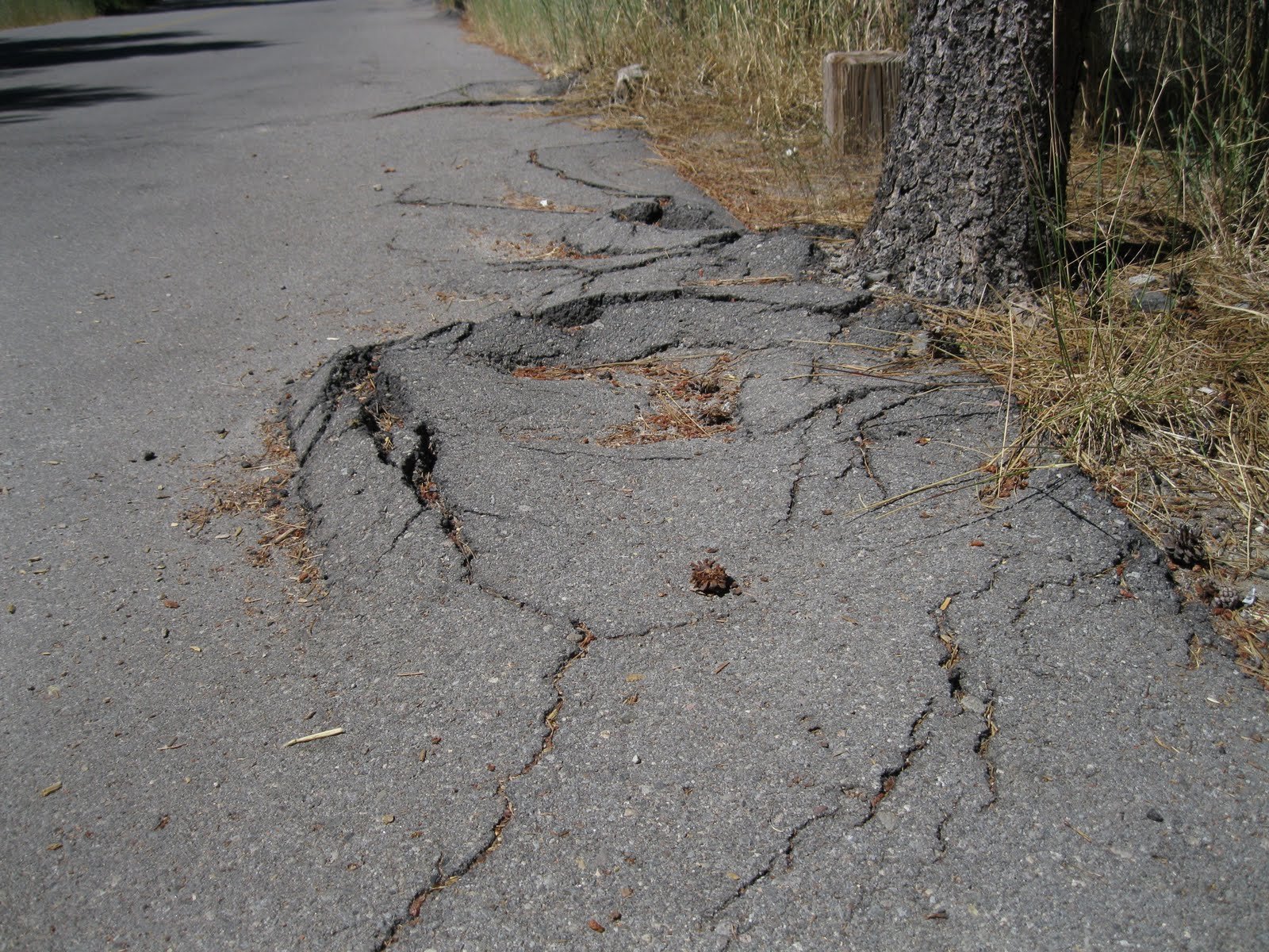 Asphalt Trip Hazards, Parking Lot Hazards, Trip and Fall Lawsuits
